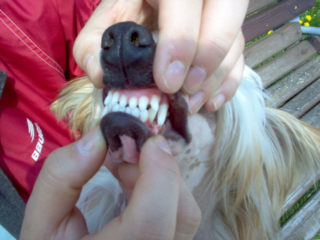 obrzek: 004.jpg; rozlien: 640  480 px; velikost 123 kB;